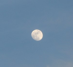 MoonBlueSky09050601