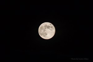 GladeFullMoon12083101