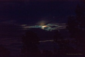 GladeFullMoon12083102