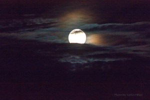 GladeFullMoon12083103