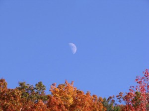 AutumnColorMoonCherohala09102501