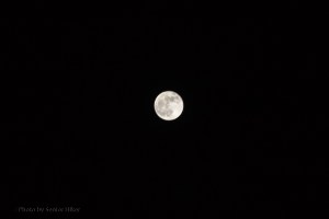Full Moon over Fairfield Glade, Tennessee.  November 28, 2012.