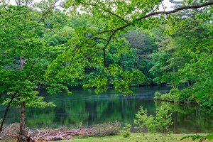 Byrd Lake, Cumberland Mountain State Park, Crossville, Tennessee.  May 15, 2011