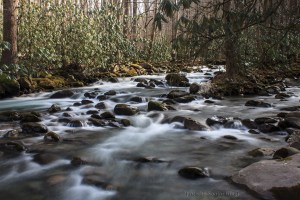 Little Pigeon River, Great Smoky Mountains National Park, Tennessee.  January 23, 2013.