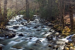 Little Pigeon River, Great Smoky Mountains National Park, Tennessee.  January 23, 2013.