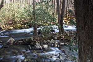 Little Pigeon River, Great Smoky Mountains National Park, Tennessee.  January 23, 2013.