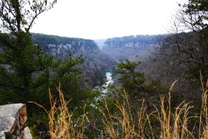 Little River Canyon National Preserve, Fort Payne, Alabama.  February 14, 2010.