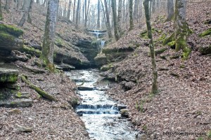 Wetumpka Falls, Tullahoma, Tennessee.  February 9, 2012.  (Photo by Betsy.)