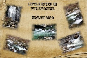 2010 -- March Smokies