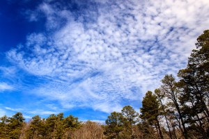 A beautiful blue February Sky.  February 11, 2013.