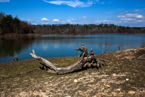 Dierks Lake, Dierks, Arkansas.  February 27, 2012.