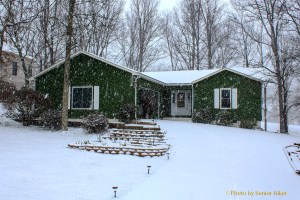 Snow falling at our house.  February 2, 2013.