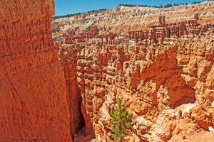 The view from Sunset Point, Bryce Canyon.  June 21, 2011.