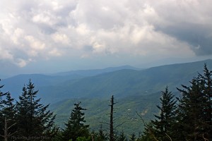 The view from Waterrock Knob.  August 4, 2011.