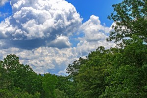Glade sky after the downpours, Fairfield Glade, Tennessee.  May 23, 2013.