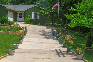 Container roses along the driveway, Fairfield Glade, Tennessee.  June 1, 2013.