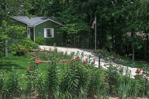 Our front yard as seen from the road in front of the house, Fairfield Glade, Tennessee.  June 1, 2013.