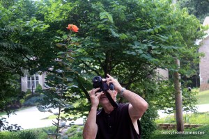 George getting a picture of our About Face rose.  July 21, 2013.  (Photo by Betsy)