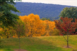 Autumn color in Harpers Ferry, West Virginia.  September 26, 2013.