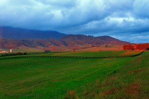 Evening light in Virginia.  October 23, 2013.