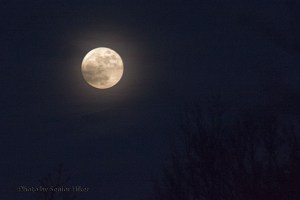 Full moon over Fairfield Glade, Tennessee.  December 16, 2013.