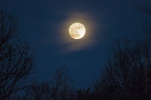 A full moon over Fairfield Glade, Tennessee.  December 16, 2013.