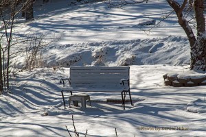 The cold and lonely bench in our front yard, Fairfield Glade, January 6, 2014.