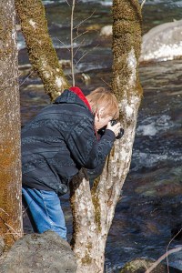 Betsy getting a picture of Middle Prong Little River, Great Smoky Mountains, Tennessee.  January 20, 2013.