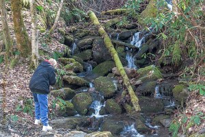 Betsy photographing Stillhouse Hollow Falls.  January 20, 2014.