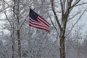 The Stars and Stripes in our front yard.  January 21, 2014.