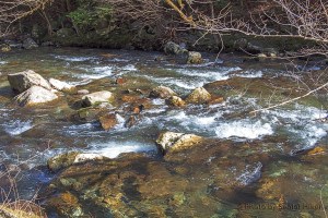 Middle Prong LIttle River, Great Smoky Mountains National Park, Tennessee.  January 20, 2014.
