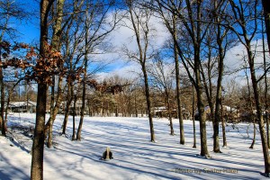 New-fallen snow on the fairway behind our house,  Fairfield Glade, Tennessee.  January 6, 2014.
