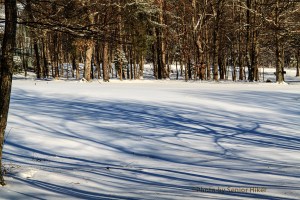 Shadows and snow on the fairway, Fairfield Glade, Tennessee.  January 6, 2014.