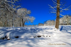 Druid Hills golf course, Fairfield Glade, Tennessee.  February 13, 2014.