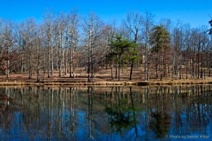 Lake Sherwood, Fairfield Glade, Tennessee.  February 7, 2012.