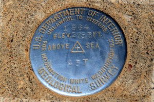 Geological marker on Mt. Magazine.  February 26, 2014.