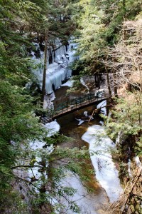Looking down into the gorge near Old Man's Cave, Hocking Hills State Park, Ohio.  March 10, 2014.