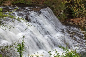 Cane Creek Cascade, Fall Creek Falls State Park, Tennessee.  April 21, 2014.