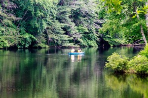 Reflections on Byrd Lake, Cumberland Mountain State Park, Tennessee.  June 7, 2014.