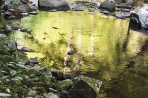 Middle Prong Little River, Great Smoky Mountains National Park, Tennessee.  August 27, 2012.