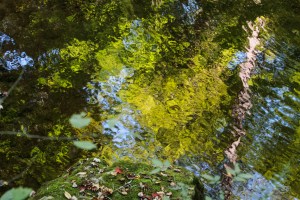 Middle Prong Little River, Great Smoky Mountains National Park, Tennessee.  August 27, 2012.