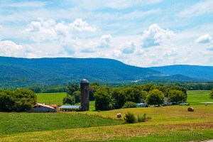 The Sequatchie Valley, Dunlap, Tennessee.  August 16, 2014.