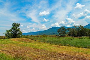 The Sequatchie Valley, Dunlap, Tennessee.  August 16, 2014.