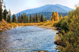 The Hoback River, Wyoming.  September 18, 2012.