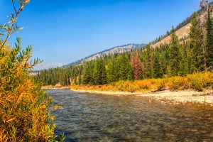 The Hoback River, Wyoming.  September 18, 2012.
