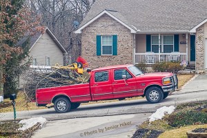 The truck loaded with cut-up tree tops ready to be hauled away.  Fairfield Glade, Tennessee.  March 2, 2015.