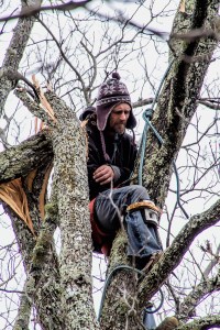 A closer look at the man in the tree.  March 2, 2015.