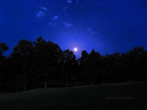 A nearly full moon greeted us as we left the house one early morning. May 23, 2016.