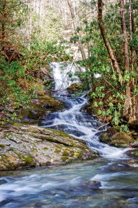 MeadowBranchCascade13012302