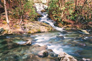 MeadowBranchCascadeWestProngLittleRiver13012301